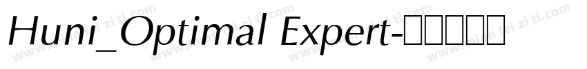 Huni_Optimal Expert字体转换